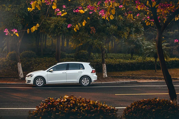 担保贷款 担保贷款