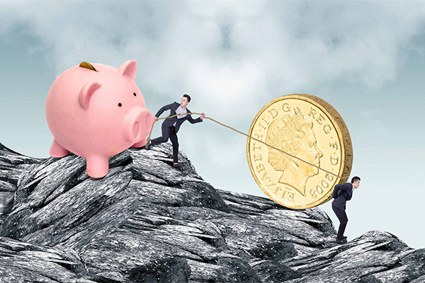 花都是哪个城市：揭秘我国美丽花卉之城的所在地